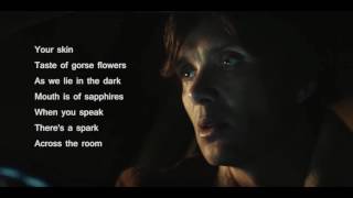 Fionn Regan - The Meetings Of The Waters (Lyrics)