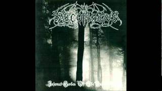 The Sarcophagus - Total Holocaust