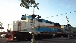 preview picture of video 'Tri Rail Train Hollywood Florida Quad Gate Railroad Crossing'