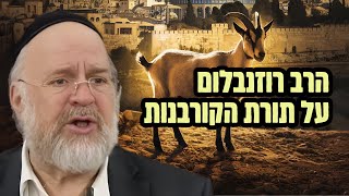 ״הסוד האדיר שמסתתר בלימוד תורת הקורבנות״ הרב ברוך רוזנבלום בשיעור מרתק לפרשת ויקרא (פ״ג) (הרב ברוך רוזנבלום) - התמונה מוצגת ישירות מתוך אתר האינטרנט יוטיוב. זכויות היוצרים בתמונה שייכות ליוצרה. קישור קרדיט למקור התוכן נמצא בתוך דף הסרטון ״הסוד האדיר שמסתתר בלימוד תורת הקורבנות״ הרב ברוך רוזנבלום בשיעור מרתק לפרשת ויקרא (פ״ג) (הרב ברוך רוזנבלום) - התמונה מוצגת ישירות מתוך אתר האינטרנט יוטיוב. זכויות היוצרים בתמונה שייכות ליוצרה. קישור קרדיט למקור התוכן נמצא בתוך דף הסרטון