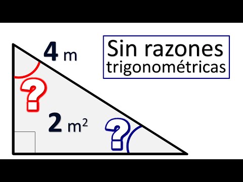 Hallar los ángulos del triangulo rectángulo