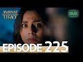 Amanat (Legacy) - Episode 225 | Urdu Dubbed