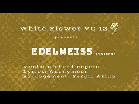 White Flower VC 12 - Edelweiss - in German