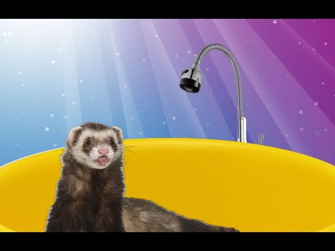 Купание Малышки-Спиди!🛁Сначала походили🚶♀️