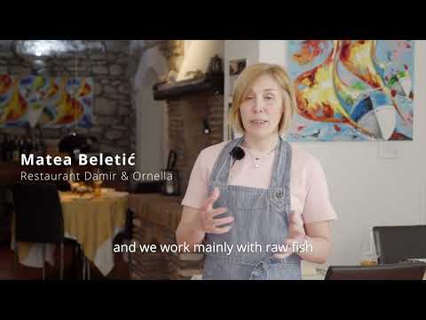 Visit Novigrad (Croatia): ConsumelessMed Destination