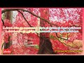 Santhosam Santhosam Song YOUTH