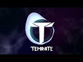 Teminite & Said - Make Me