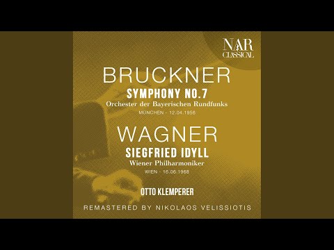 Symphony No. 7 in E Major, WAB 107, IAB 114: I. Allegro moderato