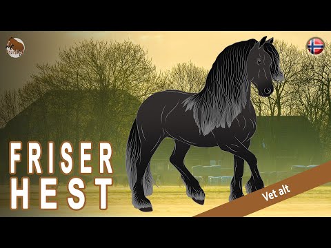 , title : 'FRISER HEST, hester som er en del av kulturarven i Nederland, HESTERASER'