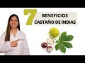 7 BENEFICIOS DEL CASTAÑO DE INDIAS que antes no sabías