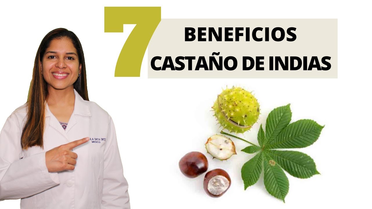 Watch 7 BENEFICIOS DEL CASTAÑO DE INDIAS que antes no sabías Now 7 BENEFICIOS DEL CASTAÑO DE INDIAS que antes no sabías