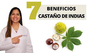 7 BENEFICIOS DEL CASTAÑO DE INDIAS que antes no sabías