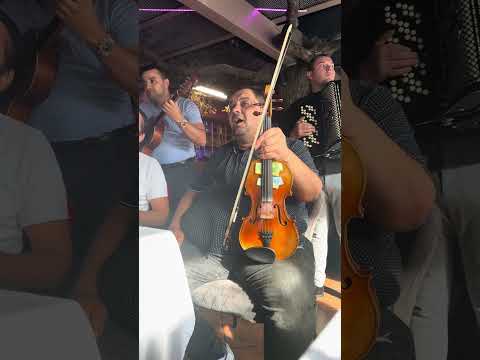 Zika Srem Uzivo 2023