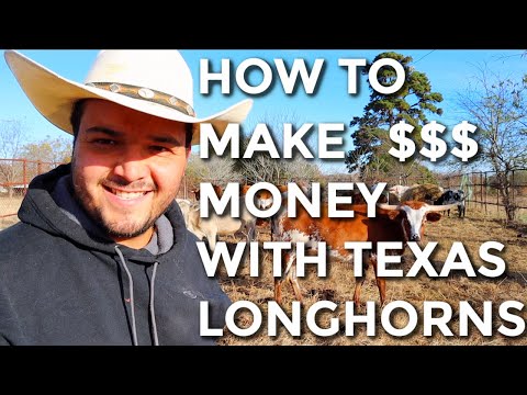 , title : 'How To Make Money With Texas Longhorns'