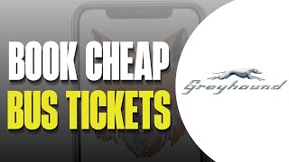 🚌 How To Book CHEAP Greyhound Bus Tickets Online (Step-by-Step 2025)