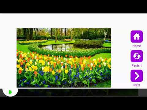 Tile Puzzle Keukenhof Garden Video