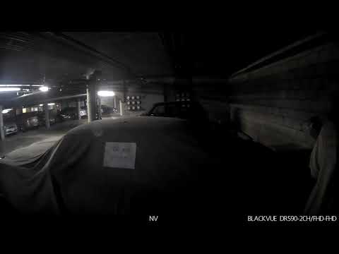 20170209 011733 PF catlady in robe Dee Deidra reading the signs 08/2025