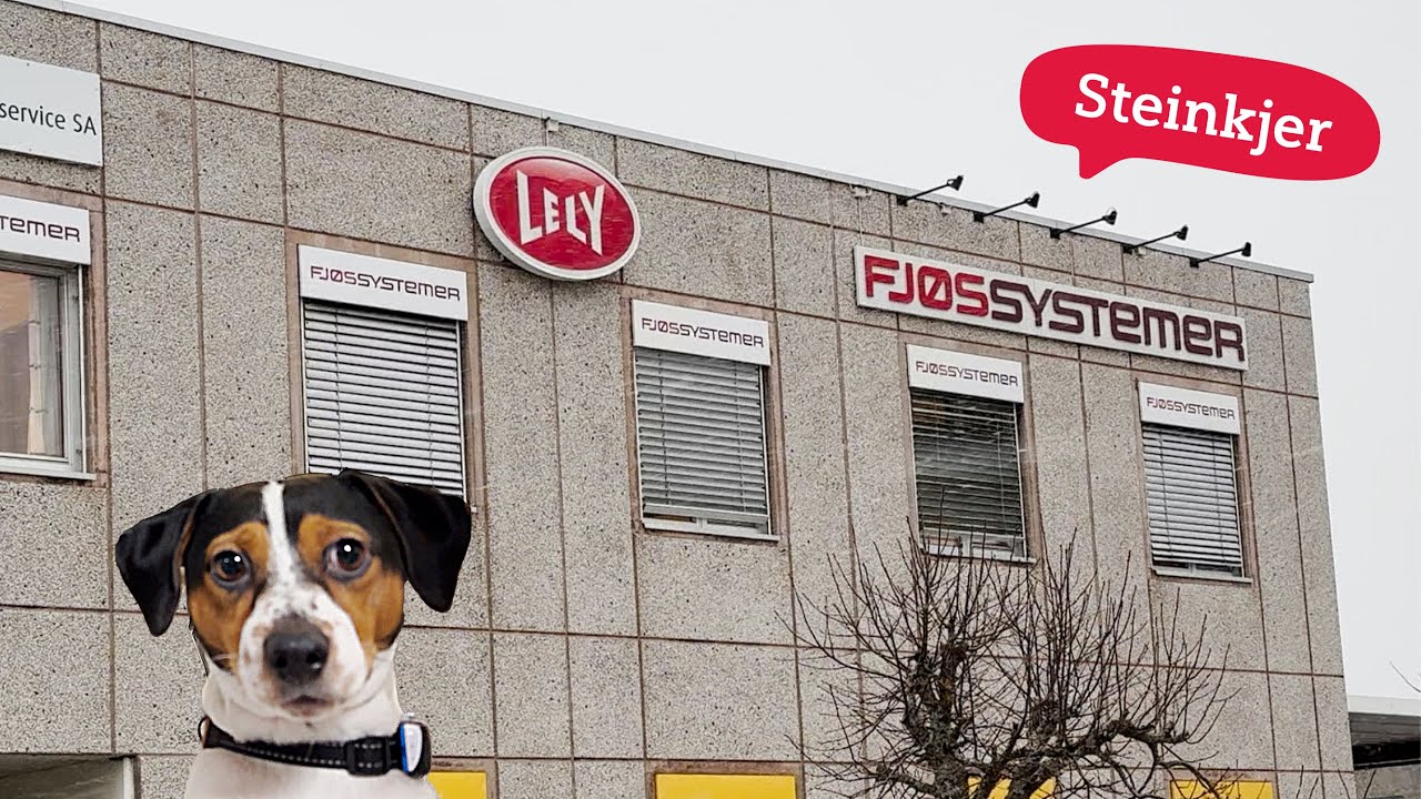 Fjøssystemer Midt-Norge, avdeliong Steinkjer: Landbrukets hjerte i Trøndelag