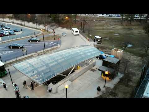 MOLI Consulting LLC video.