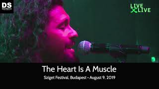 Gang of Youths - The Heart Is A Muscle - Sziget Festival, August 8, 2019