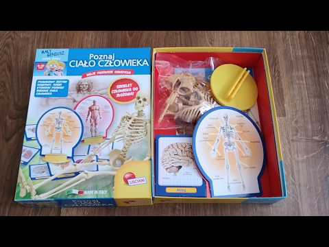 Poznaj Ciało Człowieka Lisciani Mały Geniusz