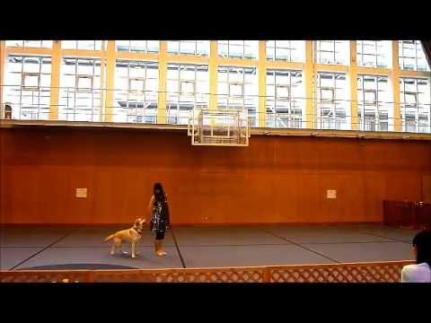 Axel-HTM-You Had A Bad Day-June-10-2012