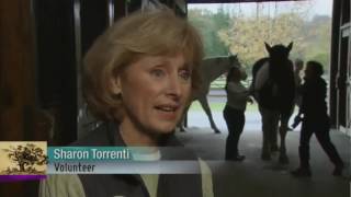 Download Lagu The Power of Giving at High Hopes Therapeutic Riding, Inc. Thumbnail