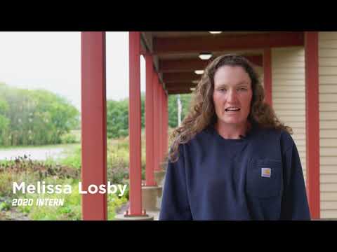 Timmerman Feedyard Management Internship