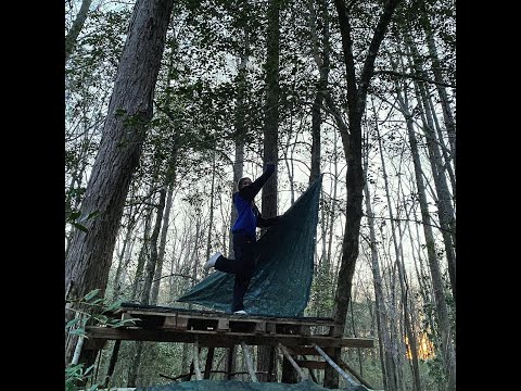 [FREE FOR PROFIT] BLACKWINTERWELLS x ⓸ DLTZK DARIACORE x HYPERPOP TYPE BEAT "her in the forest"