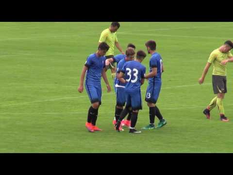 Viitorul FC - Selectionată Slovenă 6-0