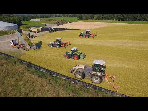 Mais 2020 : One BIG Silage Pit Endless corn / LU Stotz / 8X CLaas / Mais Häckseln XXL / Xerion 5000