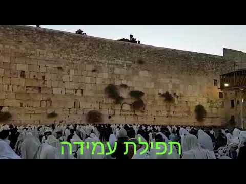 תפילת עמידה שחרית במניין הנץ החמה הבוקר בכותל המערבי