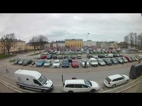 Trädblomning Torget Vänersborg 2017 8-16/4