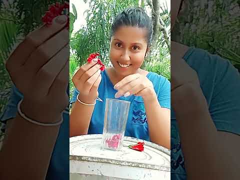 Health Benefits of Hibiscus Tea🌺 #shorts  #duet