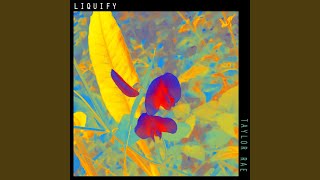 Liquify Music Video