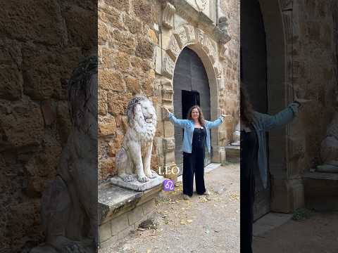 Come on a zodiac tour of our castle, Pt.1 | #shorts #astrology #zodiac