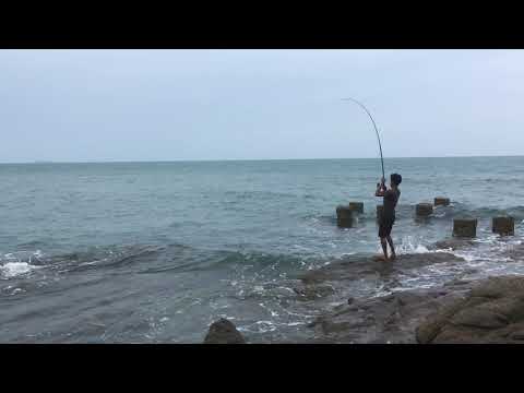 A big fish catched by a local Thai in Ko Samet Thailand