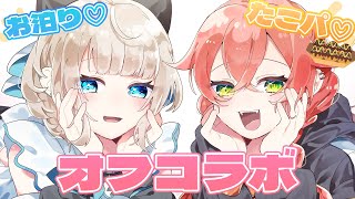 【 オフコラボ 】新居にお友達が…！といといと、たこぱ🐙お泊りデートだぁぁああ！【にじさんじ/獅子堂あかり】