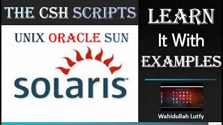 The CSH on UNIX Sun Solaris (Learn It With Examples)