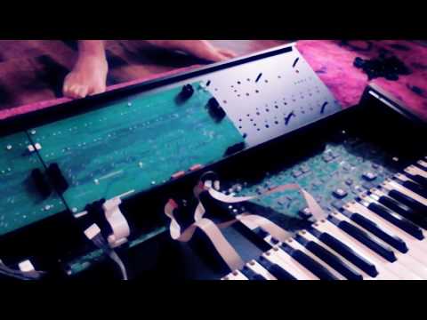 DSI Poly evolver PE Upgrade