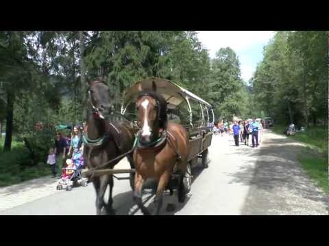 Zaprzęg konny na drodze do Morskiego Oka (Full HD)