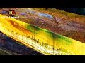 Jackfruit Wood Sawmill Artocarpus Heterophyllus Band Saw Machine