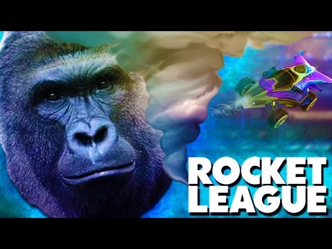 HURRICANE HARAMBE with SideArms!! - Rocket League RUMBLE!