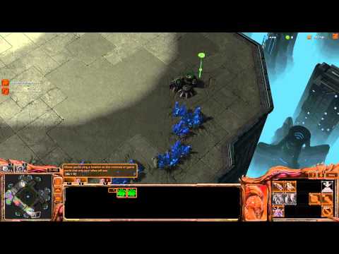 Heart of the Swarm Beta - SPY vs SQUALED - ZvZ