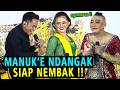 Cak Percil Cs Lucu Poll Viral Lagu Kicau Mania