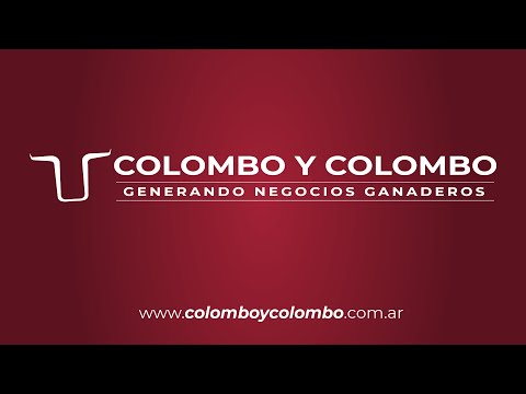 Video Institucional Colombo y Colombo