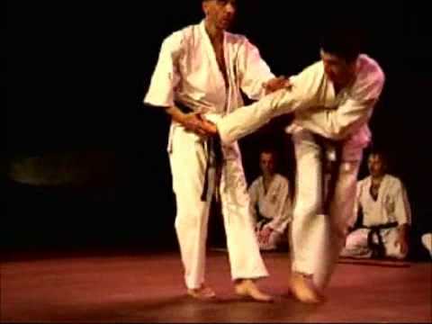 Shotokai  sensei Yves AYACHE