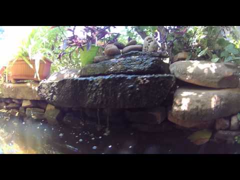 Abdellatif - la nature