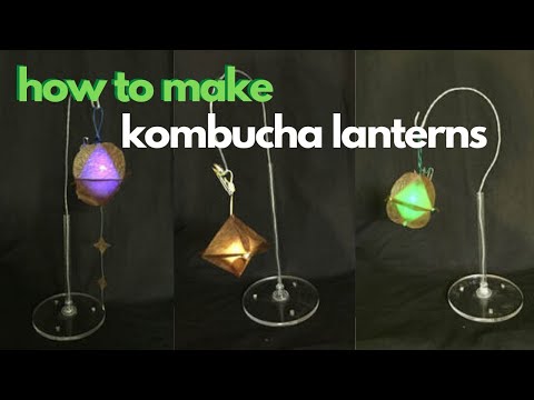 How to make Kombucha Leather Lanterns || giybiobuddies