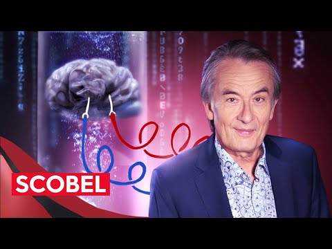 Leben wir in einer Matrix? Philosophisch betrachtet | Gert Scobel